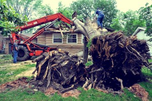 beschadigde boom op huis gevallen